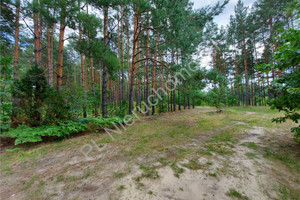 Działka na sprzedaż 23100m2 wołomiński Radzymin Łosie - zdjęcie 2