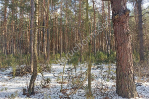 Działka na sprzedaż 26600m2 wołomiński Radzymin - zdjęcie 1