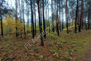 Działka na sprzedaż 2223m2 wołomiński Radzymin Arciechów - zdjęcie 3