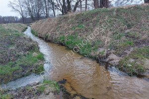 Działka na sprzedaż 3300m2 wołomiński Poświętne Czubajowizna - zdjęcie 3