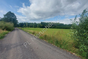 Działka na sprzedaż 8000m2 wołomiński Radzymin Rżyska - zdjęcie 2