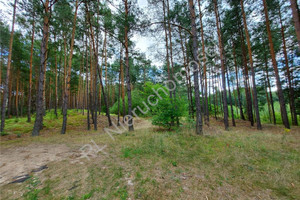 Działka na sprzedaż 23100m2 wołomiński Radzymin Łosie - zdjęcie 3