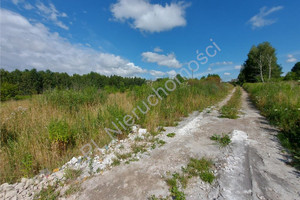 Działka na sprzedaż 900m2 wołomiński Tłuszcz Dzięcioły - zdjęcie 2