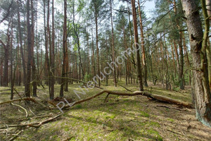 Działka na sprzedaż 11732m2 wołomiński Radzymin Arciechów - zdjęcie 1