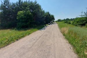 Działka na sprzedaż 4900m2 wołomiński Radzymin Nowe Załubice - zdjęcie 1