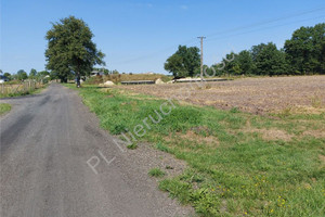 Działka na sprzedaż 1041m2 wołomiński Poświętne Nadbiel - zdjęcie 1