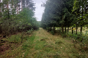 Działka na sprzedaż poznański Murowana Goślina - zdjęcie 1