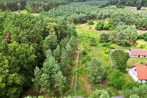 Działka na sprzedaż 3001m2 inowrocławski Gniewkowo Dąblin - zdjęcie 2