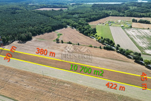 Działka na sprzedaż 10700m2 mogileński Strzelno Ostrowo - zdjęcie 1