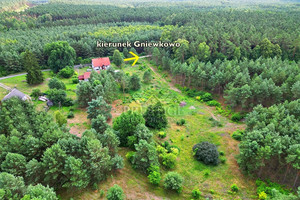 Działka na sprzedaż 3001m2 inowrocławski Gniewkowo Dąblin - zdjęcie 3