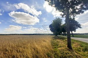 Działka na sprzedaż 10700m2 mogileński Strzelno Ostrowo - zdjęcie 2