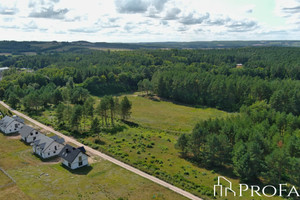 Działka na sprzedaż 11009m2 wejherowski Luzino Dąbrówka - zdjęcie 1