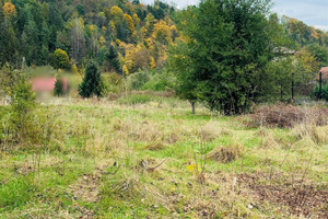 Działka na sprzedaż limanowski Kamienica - zdjęcie 2