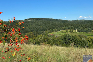 Działka na sprzedaż 1759m2 limanowski Limanowa Wysokie - zdjęcie 1