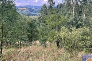 Działka na sprzedaż 4958m2 limanowski Łukowica Przyszowa - zdjęcie 3