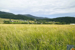 Działka na sprzedaż 3700m2 limanowski Limanowa Męcina - zdjęcie 3