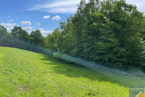 Działka na sprzedaż limanowski Limanowa Stare Rybie - zdjęcie 2