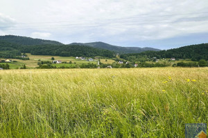 Działka na sprzedaż 3700m2 limanowski Limanowa Męcina - zdjęcie 2