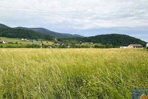 Działka na sprzedaż 3700m2 limanowski Limanowa Męcina - zdjęcie 1