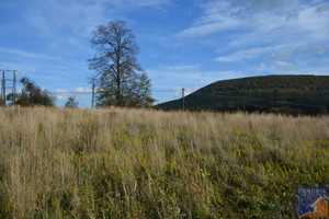 Działka na sprzedaż 5900m2 limanowski Jodłownik Kostrza - zdjęcie 2