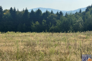 Działka na sprzedaż 900m2 limanowski Limanowa Stare Rybie - zdjęcie 2