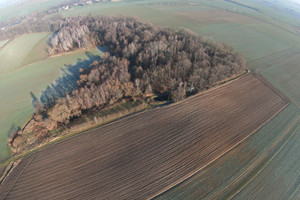 Działka na sprzedaż 7448m2 jaworski Męcinka Przybyłowice - zdjęcie 3