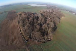 Działka na sprzedaż 7448m2 jaworski Męcinka Przybyłowice - zdjęcie 2