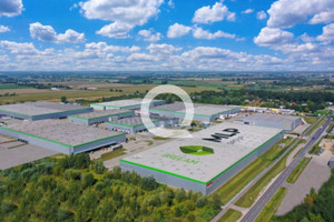 Komercyjne do wynajęcia 5400m2 pruszkowski Brwinów Moszna-Wieś - zdjęcie 4