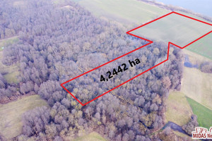 Działka na sprzedaż 42442m2 aleksandrowski Waganiec - zdjęcie 1