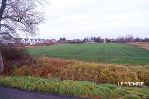 Działka na sprzedaż 7200m2 wrocławski Siechnice Radwanice - zdjęcie 1