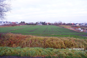 Działka na sprzedaż 7200m2 wrocławski Siechnice Radwanice - zdjęcie 2