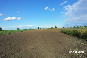 Działka na sprzedaż 29978m2 trzebnicki Żmigród Dobrosławice - zdjęcie 1