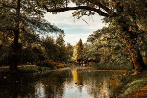 Mieszkanie na sprzedaż 93m2 Wrocław Śródmieście Zalesie Park Szczytnicki - zdjęcie 2