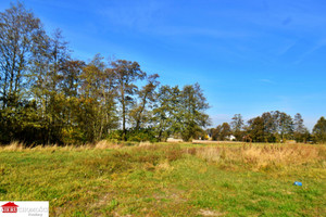 Działka na sprzedaż 1002m2 wyszkowski Zabrodzie - zdjęcie 2