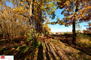 Działka na sprzedaż 1171m2 wołomiński Kobyłka - zdjęcie 2