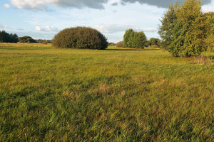 Działka na sprzedaż 11400m2 wołomiński Poświętne Nowy Cygów - zdjęcie 2