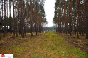 Działka na sprzedaż 1000m2 wyszkowski Wyszków Kamieńczyk Poziomkowa - zdjęcie 2