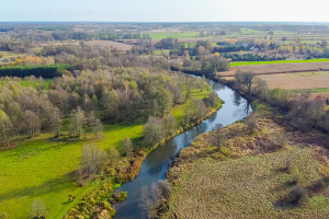 Działka na sprzedaż 20300m2 płoński Baboszewo Goszczyce Poświętne - zdjęcie 1