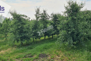 Działka na sprzedaż 21000m2 grójecki Warka Budy Opożdżewskie - zdjęcie 3