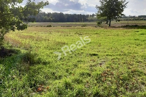 Działka na sprzedaż płoński Załuski Złotopolice - zdjęcie 1