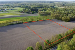 Działka na sprzedaż 20900m2 gliwicki Pilchowice Wilcza Rybnicka - zdjęcie 2