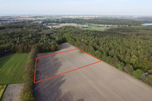 Działka na sprzedaż 20900m2 gliwicki Pilchowice Wilcza Rybnicka - zdjęcie 3