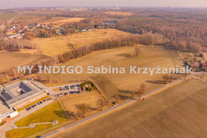 Działka na sprzedaż 905m2 gliwicki Pilchowice Nieborowice Kasztanowa - zdjęcie 3