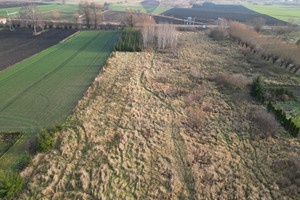 Działka na sprzedaż 10000m2 gdański Pszczółki Skowarcz - zdjęcie 2