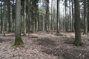 Działka na sprzedaż 2500m2 suski Budzów - zdjęcie 1