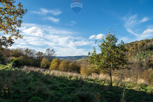 Działka na sprzedaż 764m2 suski Zembrzyce Tarnawa Dolna - zdjęcie 1