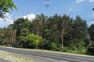 Działka na sprzedaż 5063m2 otwocki Józefów Wiązowska - zdjęcie 3