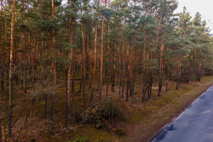 Działka na sprzedaż 1966m2 zgierski Głowno Ziewanice - zdjęcie 1