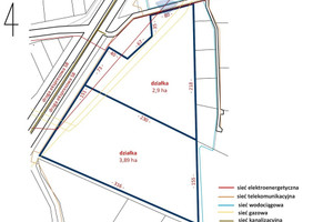 Działka na sprzedaż 67900m2 skierniewicki Kowiesy Zawady - zdjęcie 3