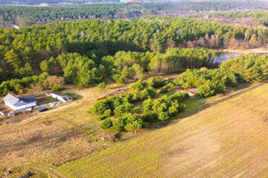 Działka na sprzedaż 3000m2 rypiński Rogowo Pinino - zdjęcie 3